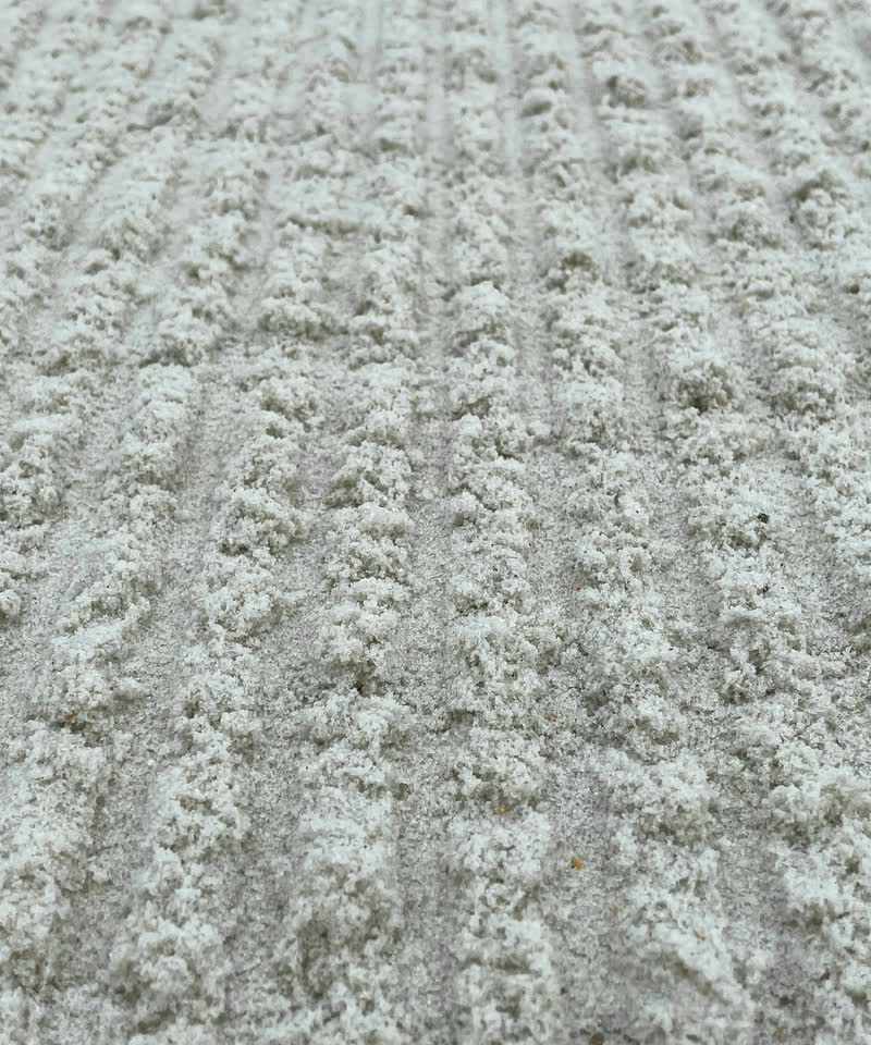 Close-up of soft cream carpet with fresh vacuum lines.